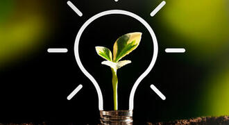 A new green shoot grows up from the ground. A white lightbulb is drawn around it.