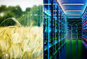 Binary code over a wheat field appears next to a data center