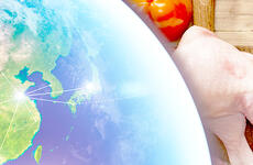 Food Supply Chain Analytics and Sensing Initiative header image