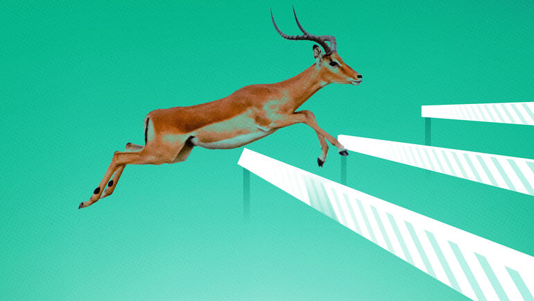Gazelle jumping over hurdles 