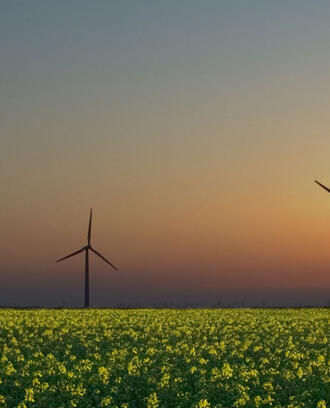 windmills in crop field with sunset