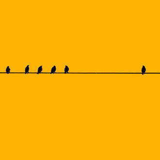 A group of birds and a single bird sitting on a wire with a peach background.
