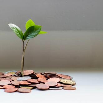 Image of a small seedling sprouting from a pile of coins