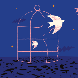 Illustration of birds flying out of cage