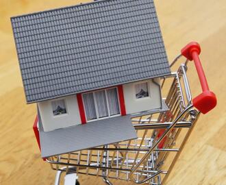 House in shopping basket