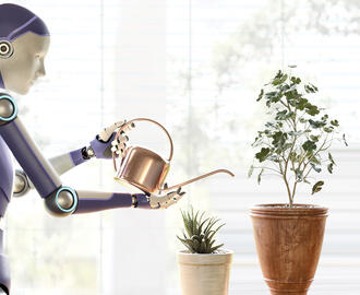 A robot waters house plants