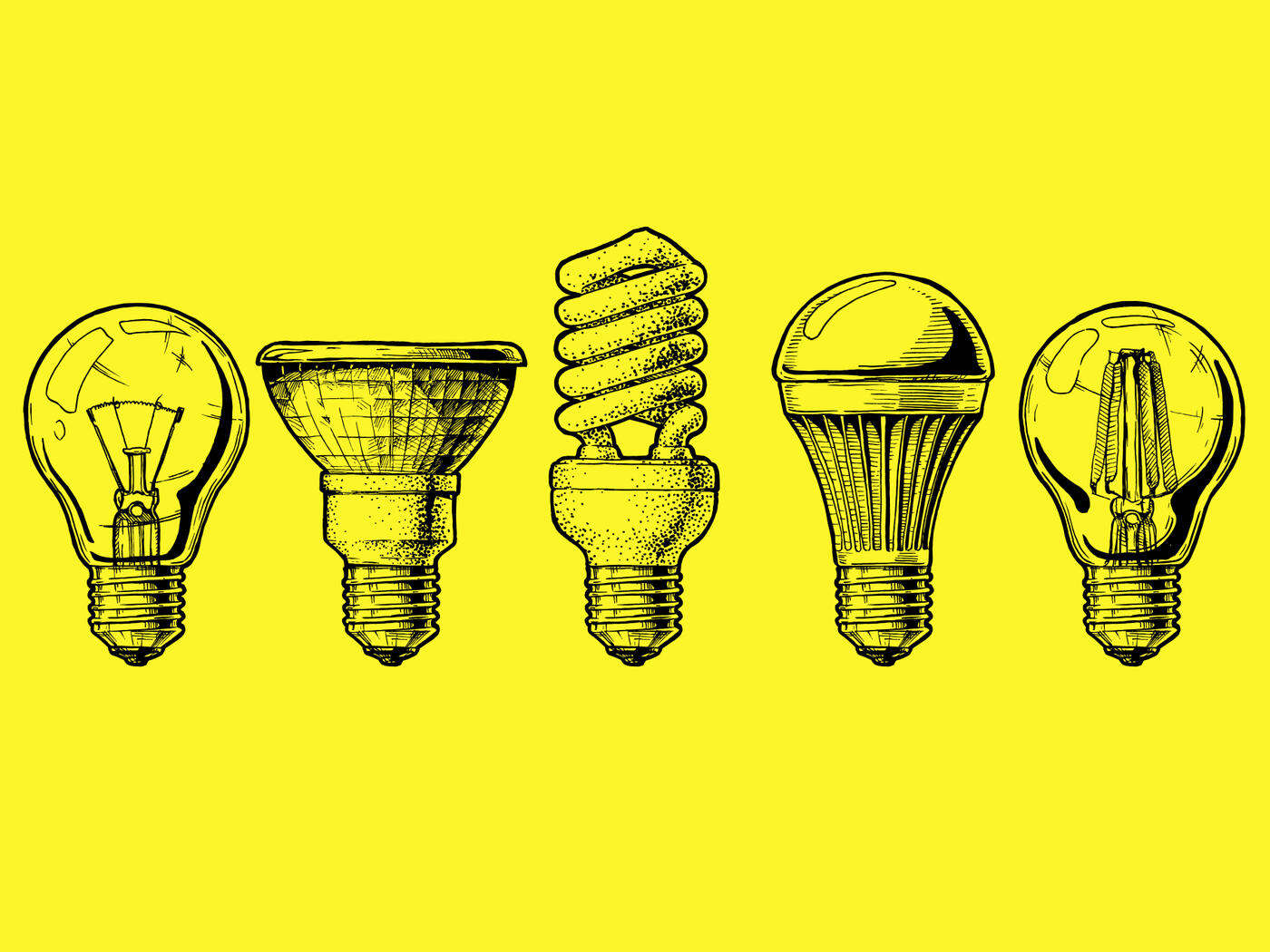 5 different kinds of lightbulbs illustrated