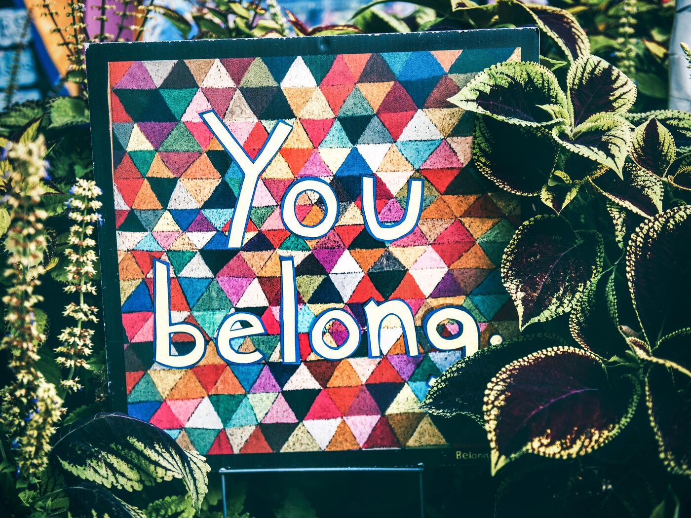 The words You Belong on a colorful diverse background with plants