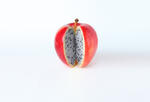 Apple cut open so you can see dragonfruit