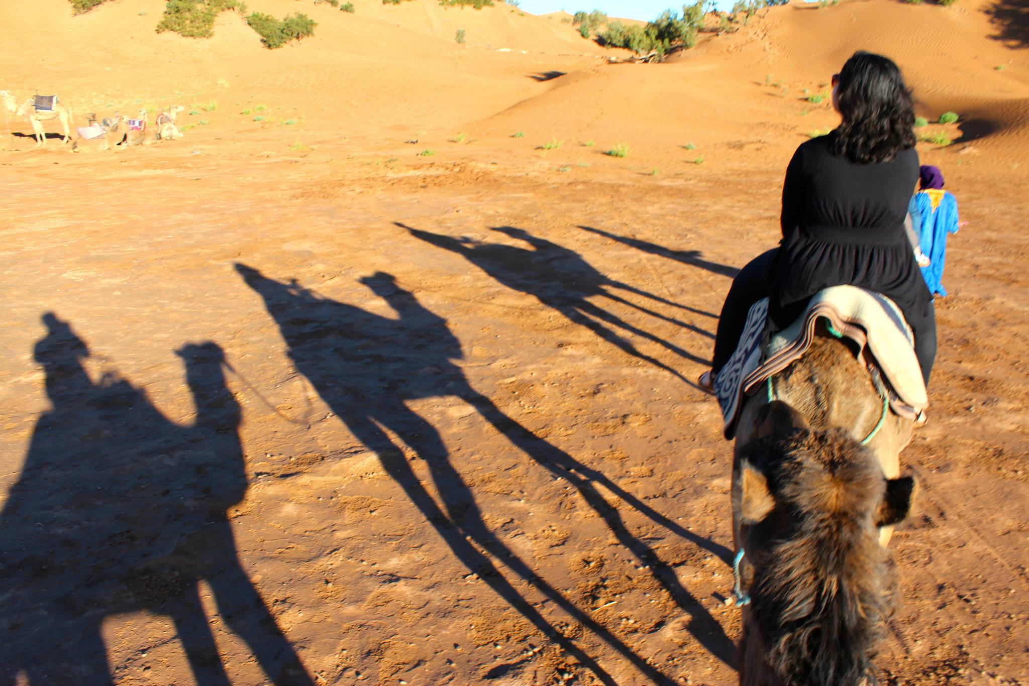 MIT Sloan trek participants travel by camel