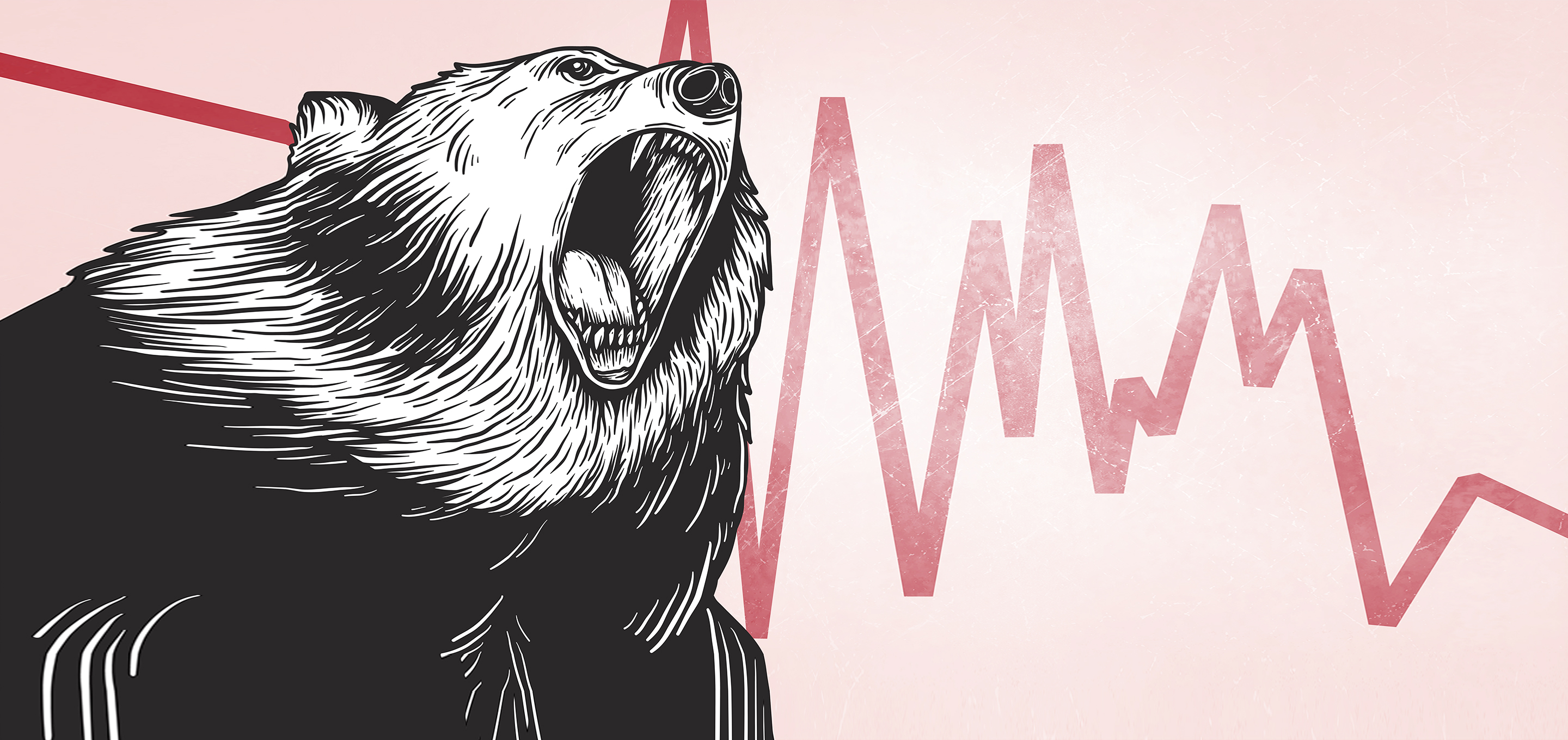 image of a roaring bear next to a jagged red line indicating a volatile stock market