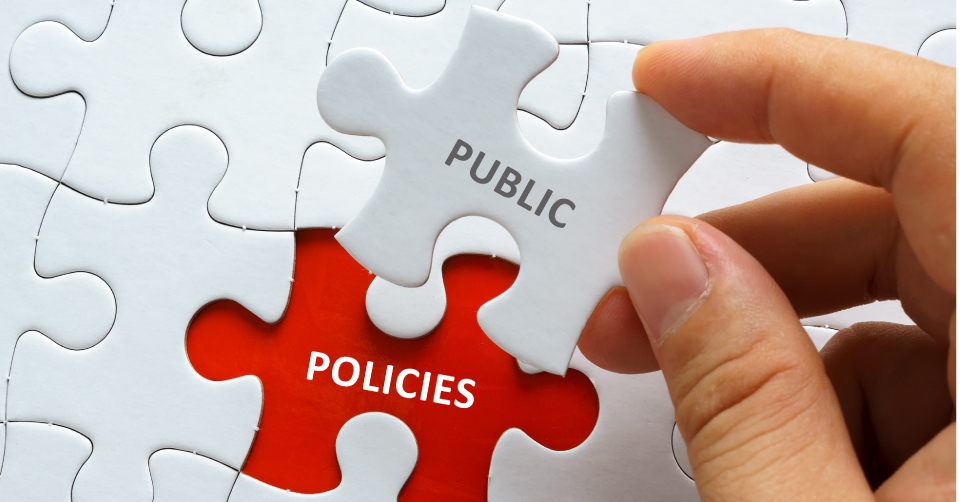 Puzzle Public Policies