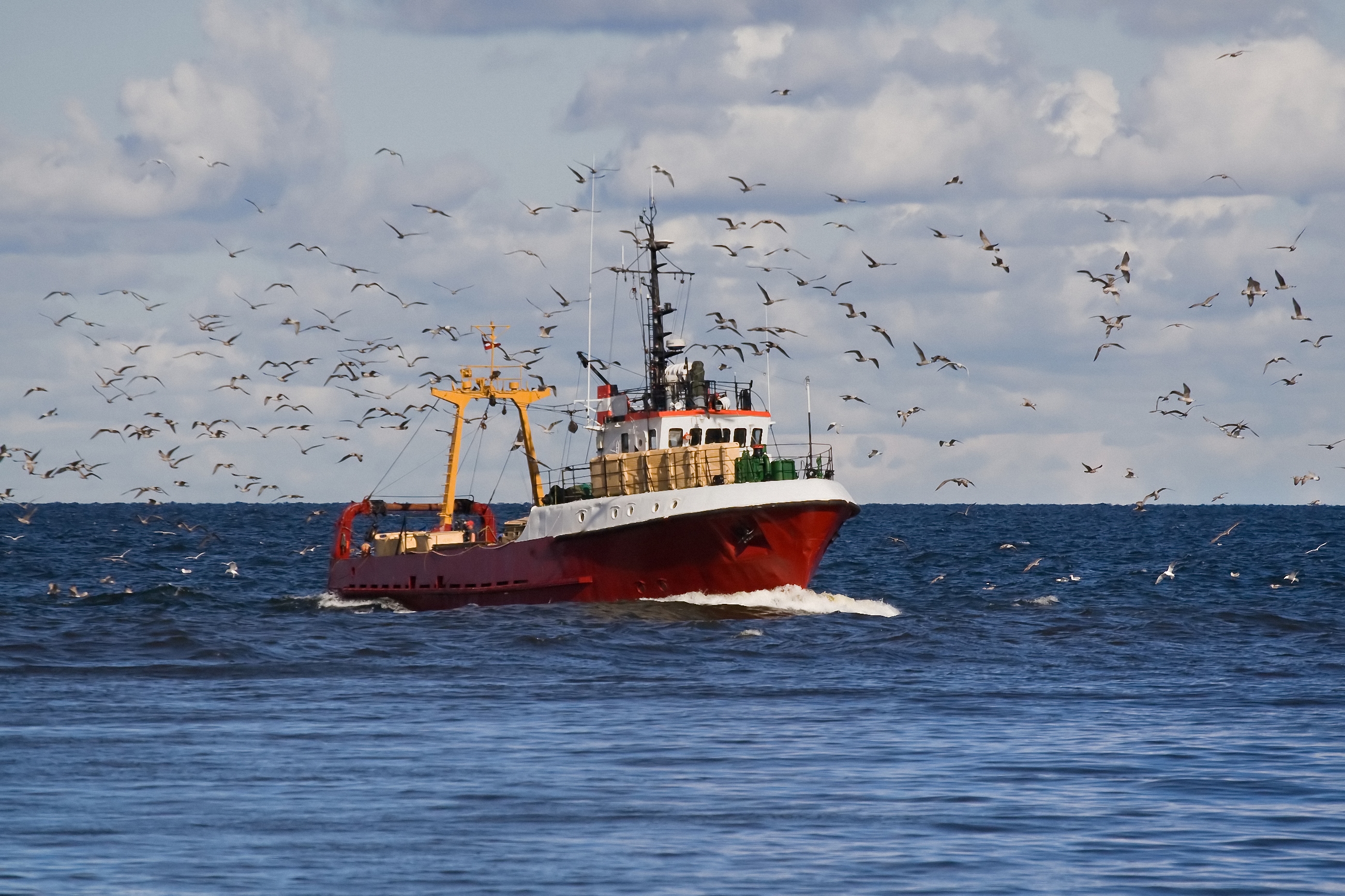 Fishing Boat In Ocean