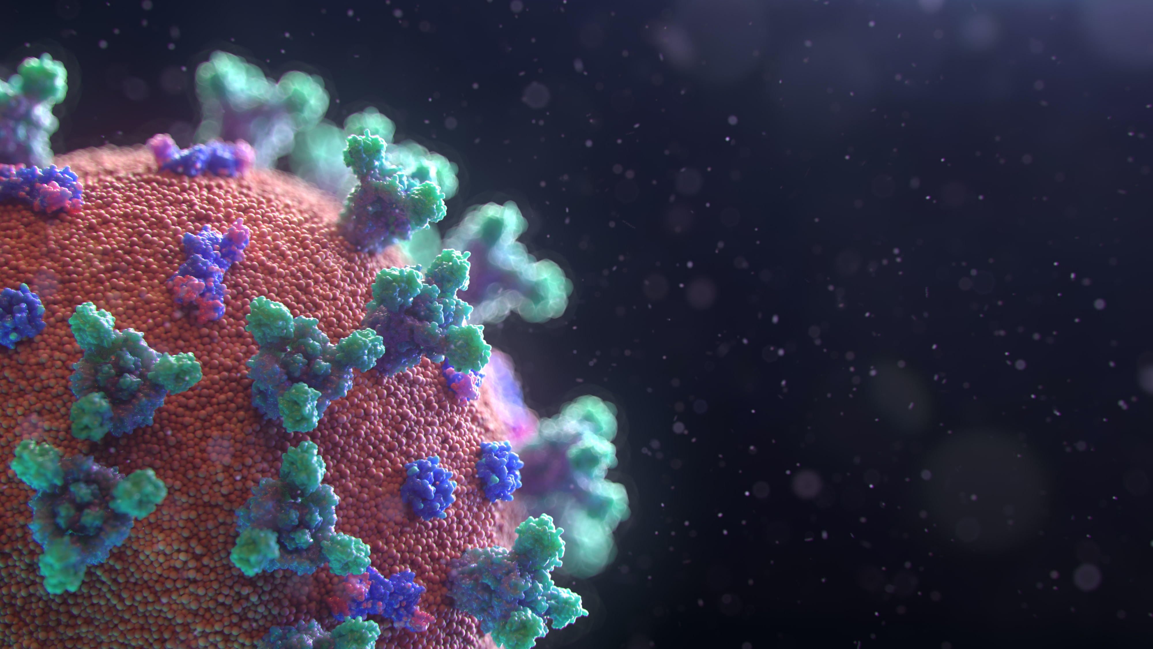 coronavirus cell