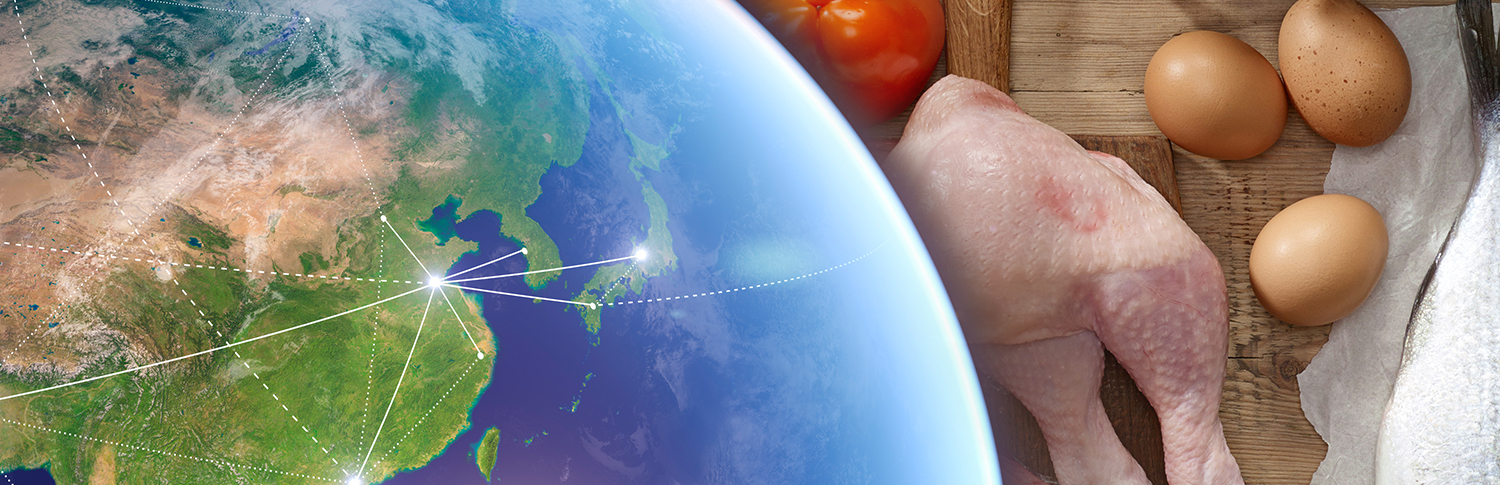 A banner image of food supply chains in the world.