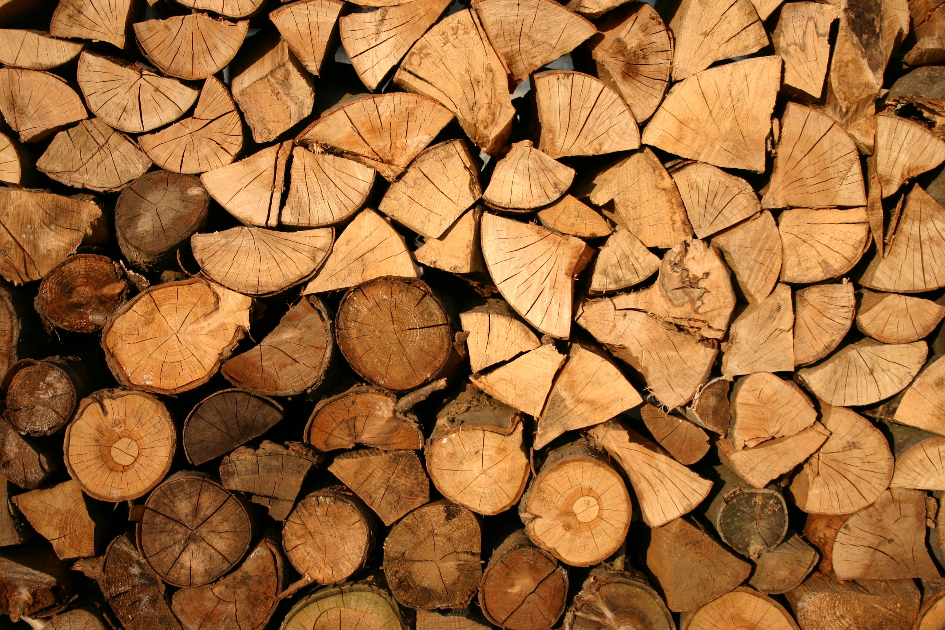 Lumbar and biomass.