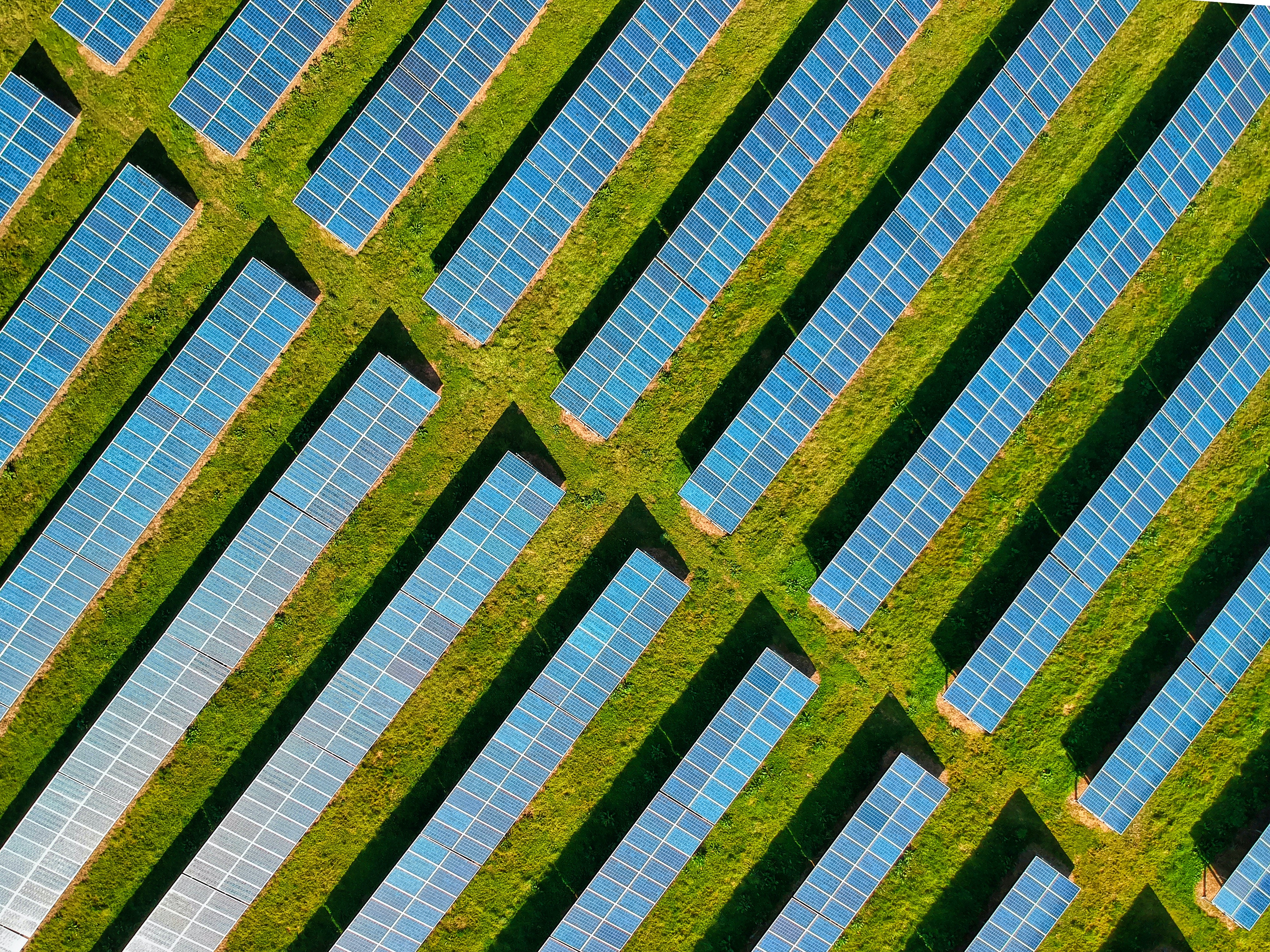 Solar farm
