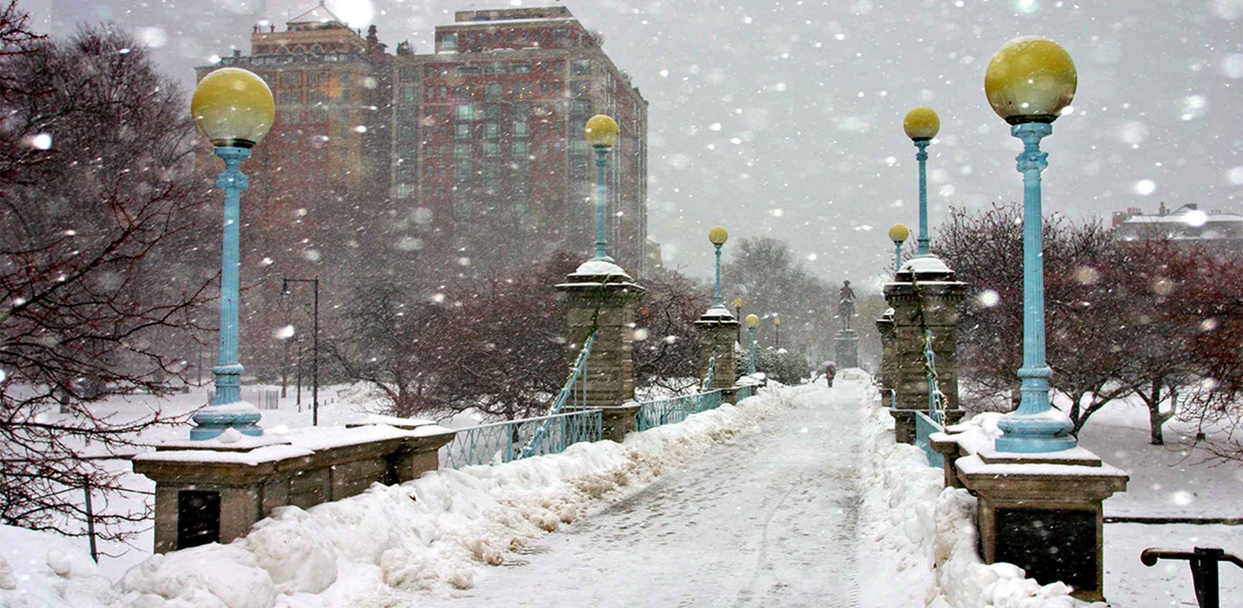 Boston Blizzard
