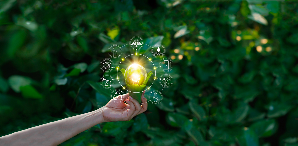 World Energy Case Study