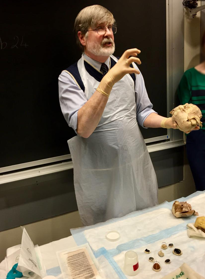 HSI R Mitchell HLab organ 