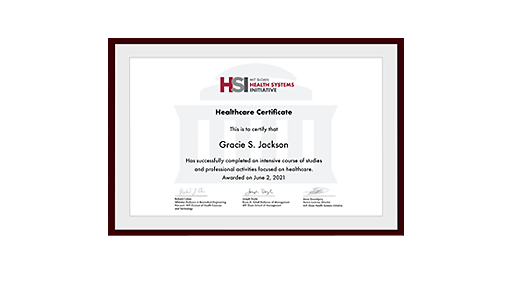 GSJ Healthcare Certificate