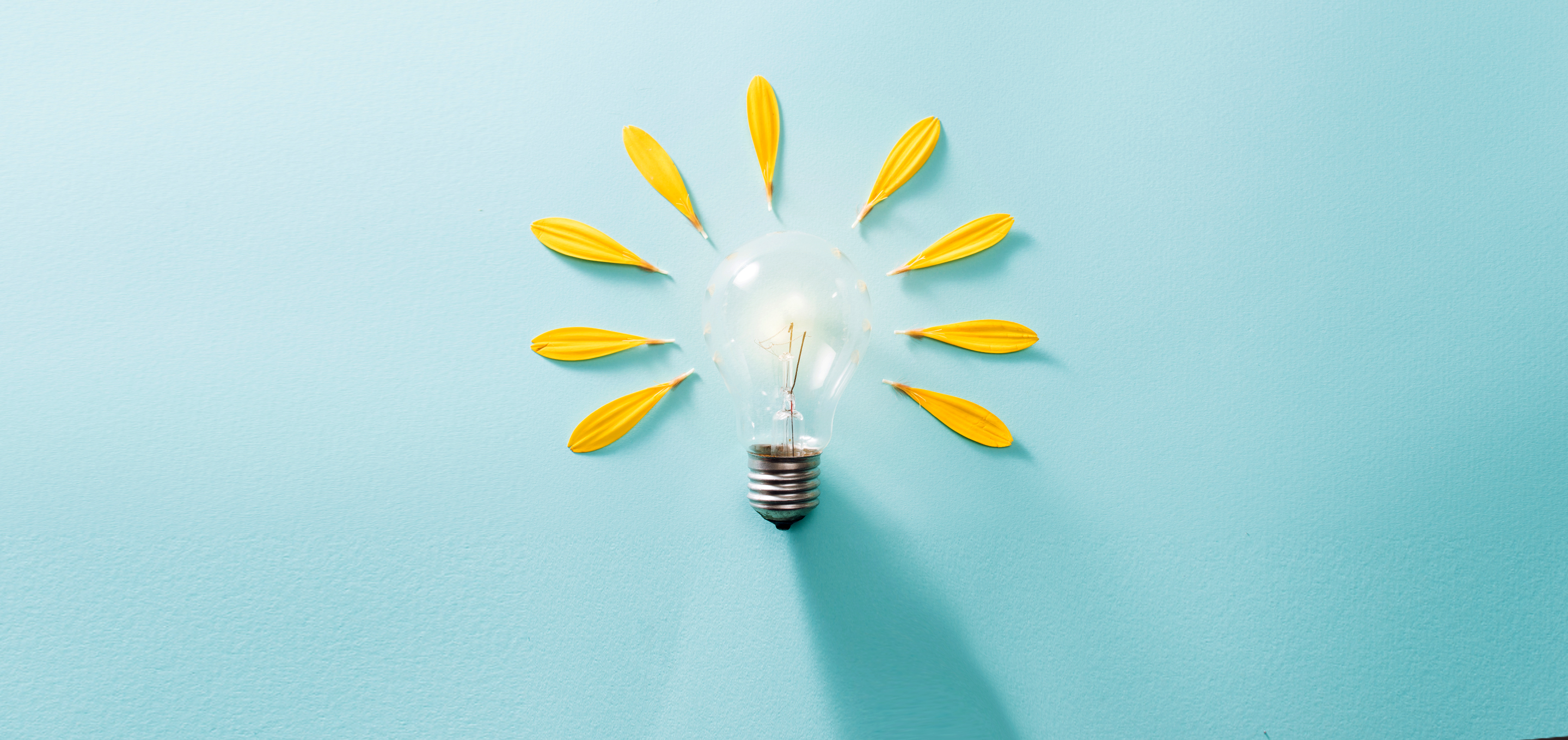 A lightbulb surrounded by flower petals