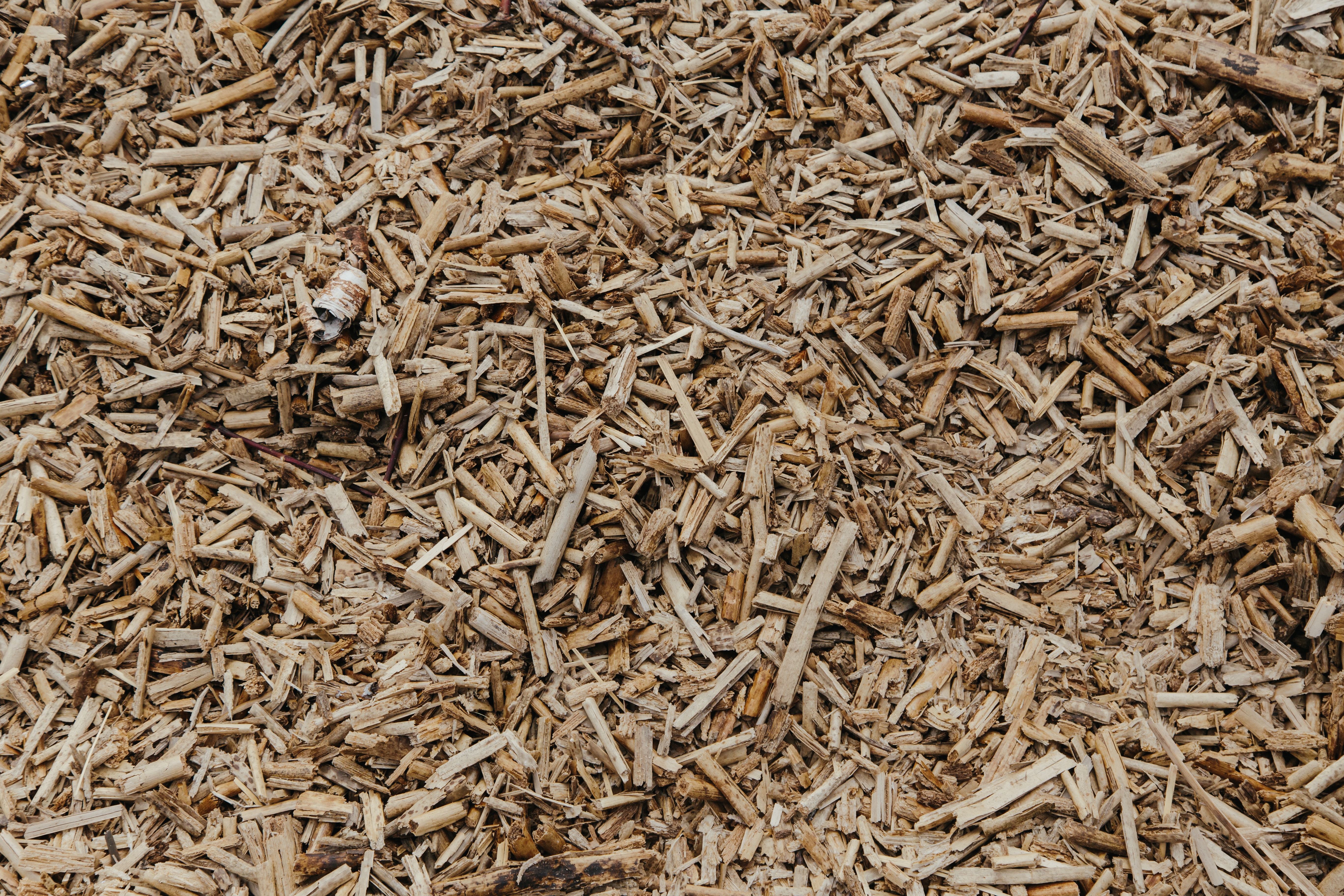 Wood Chips