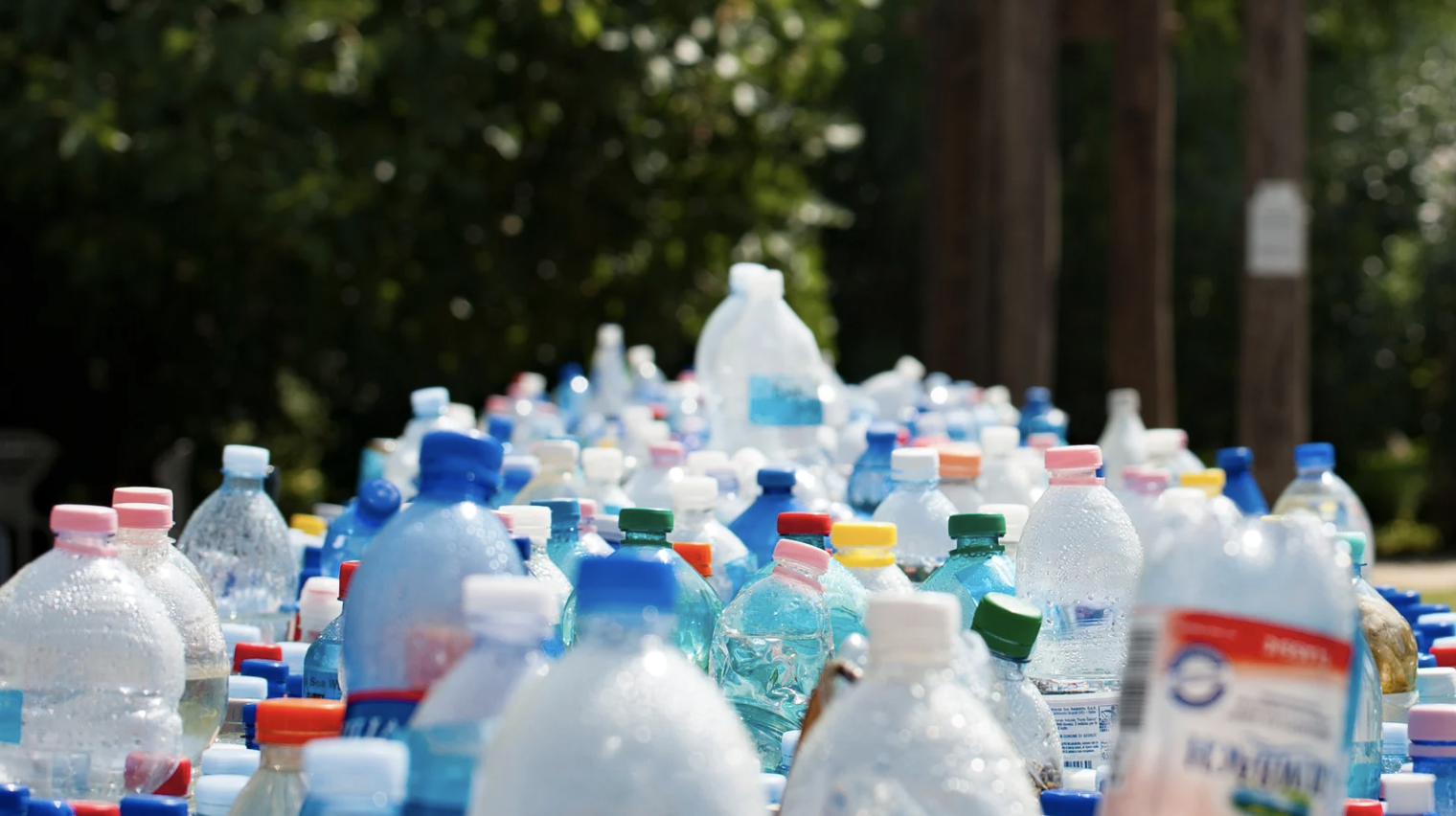 Waste