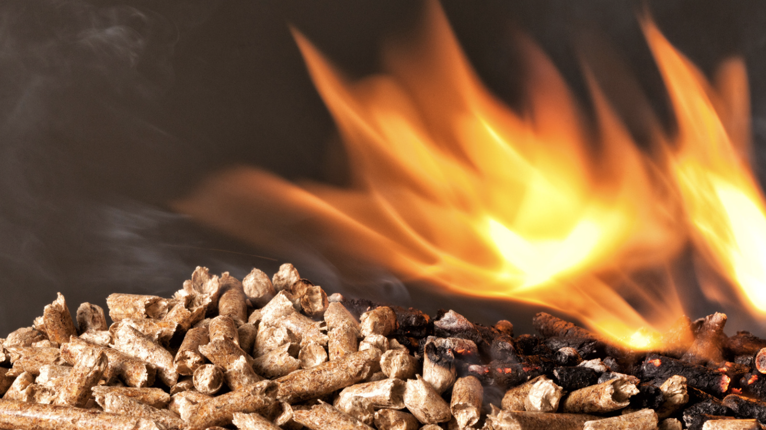 bioenergy