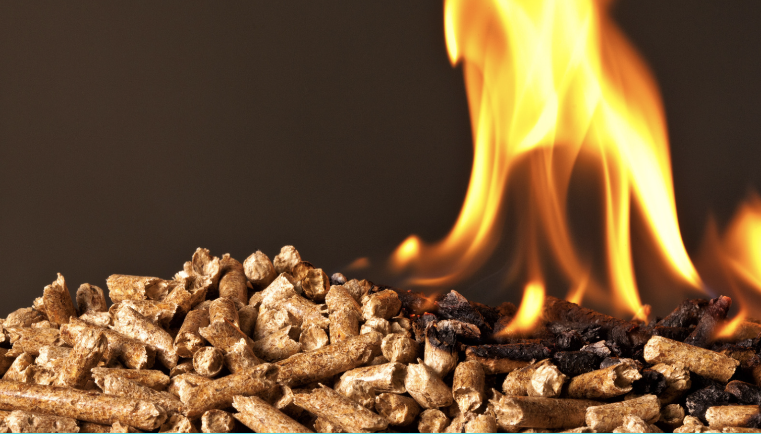 Bioenergy
