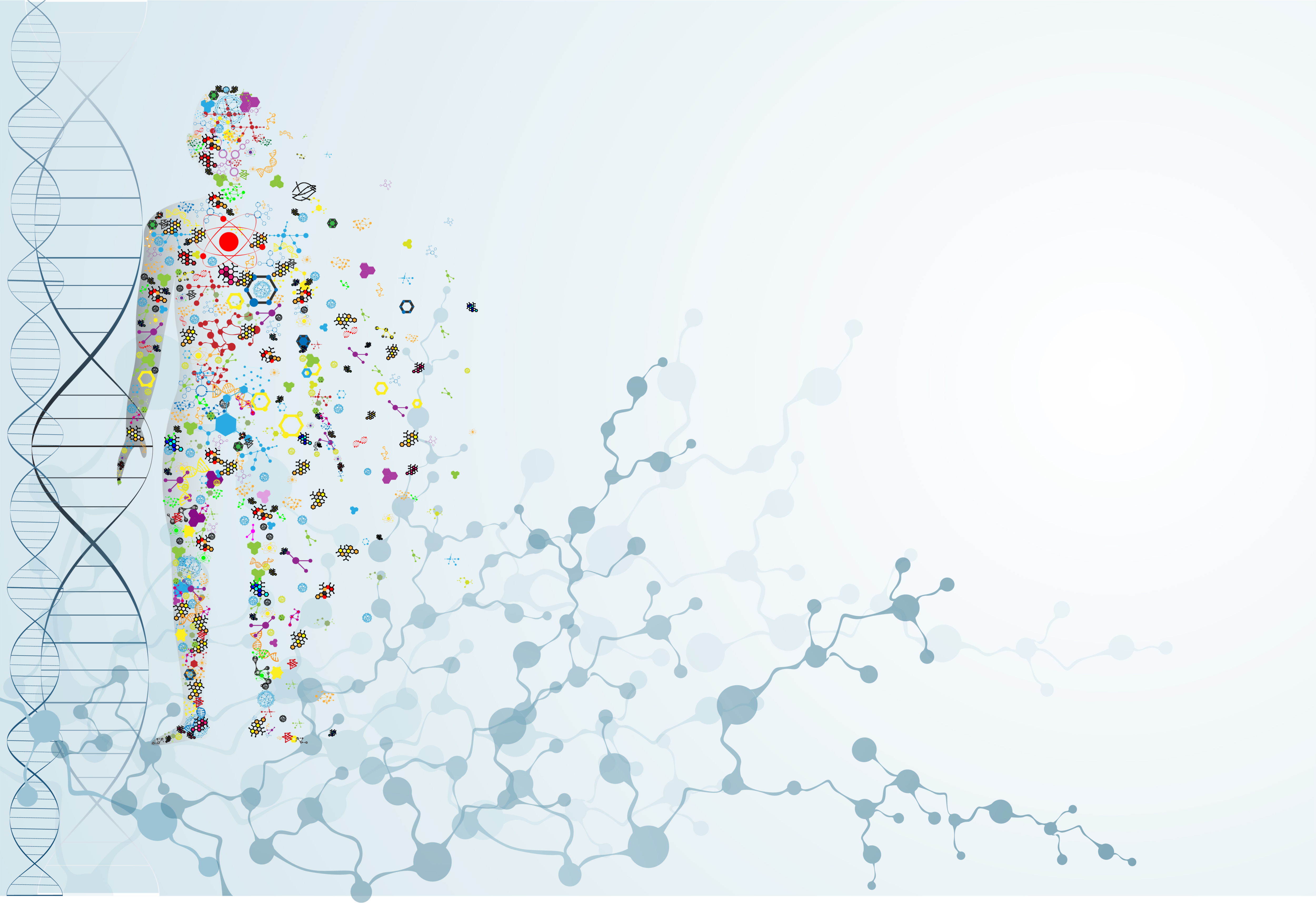Molecule body image