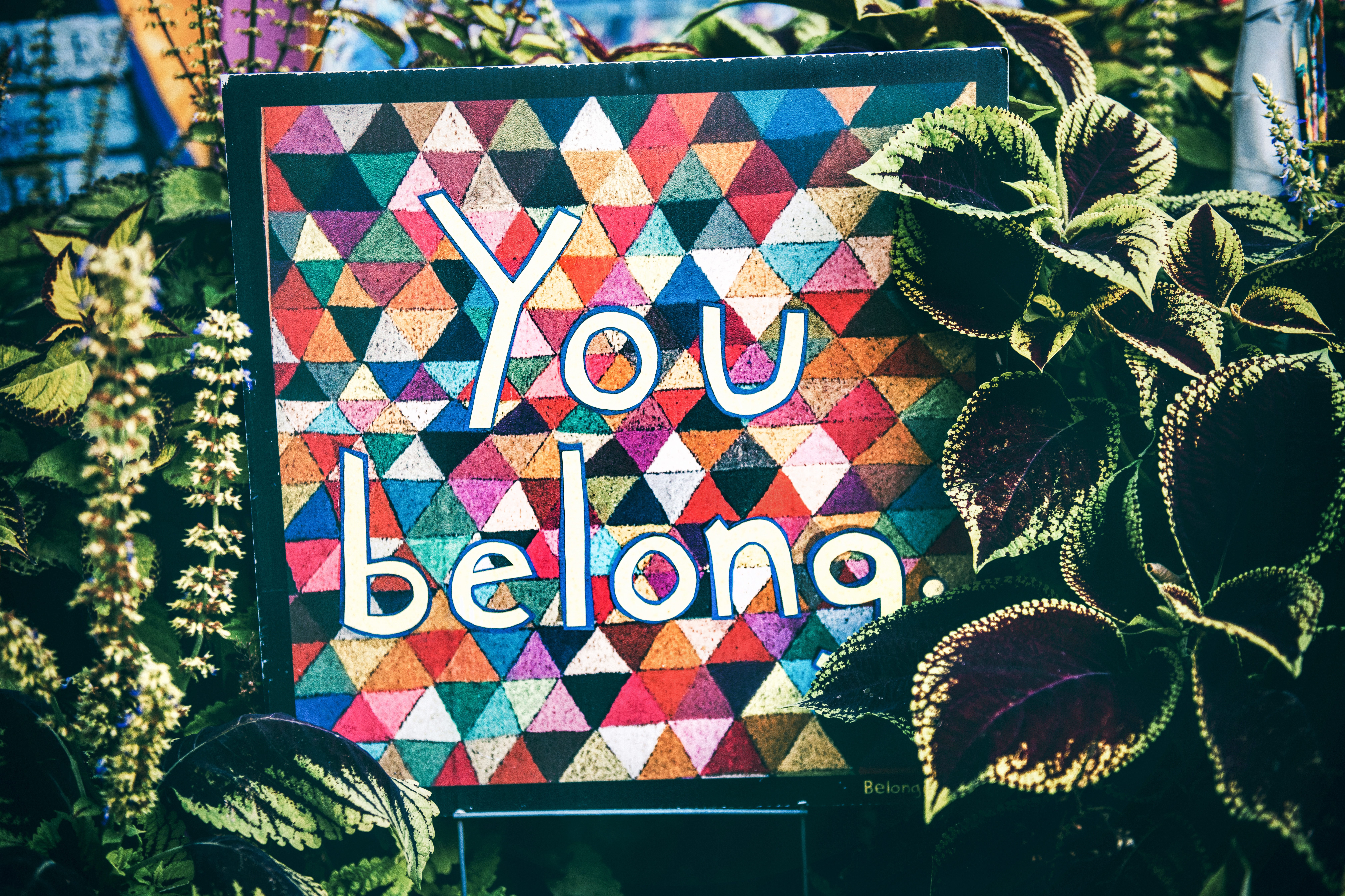 The words You Belong on a colorful diverse background with plants