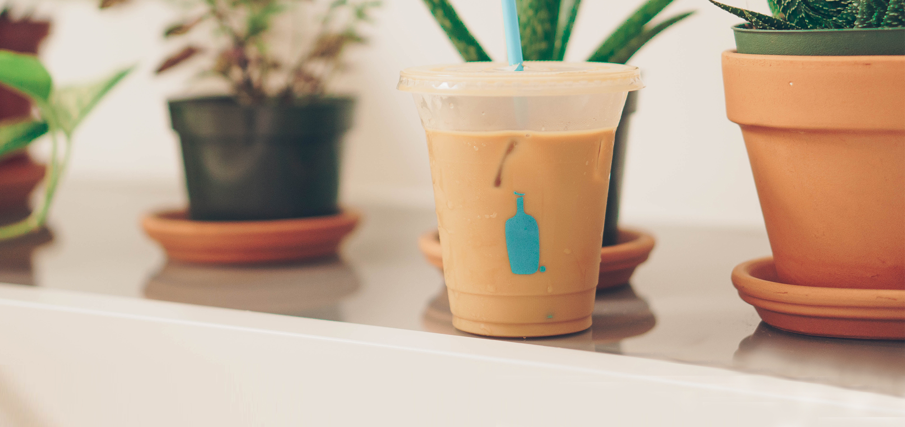blue-bottle-coffee.jpg
