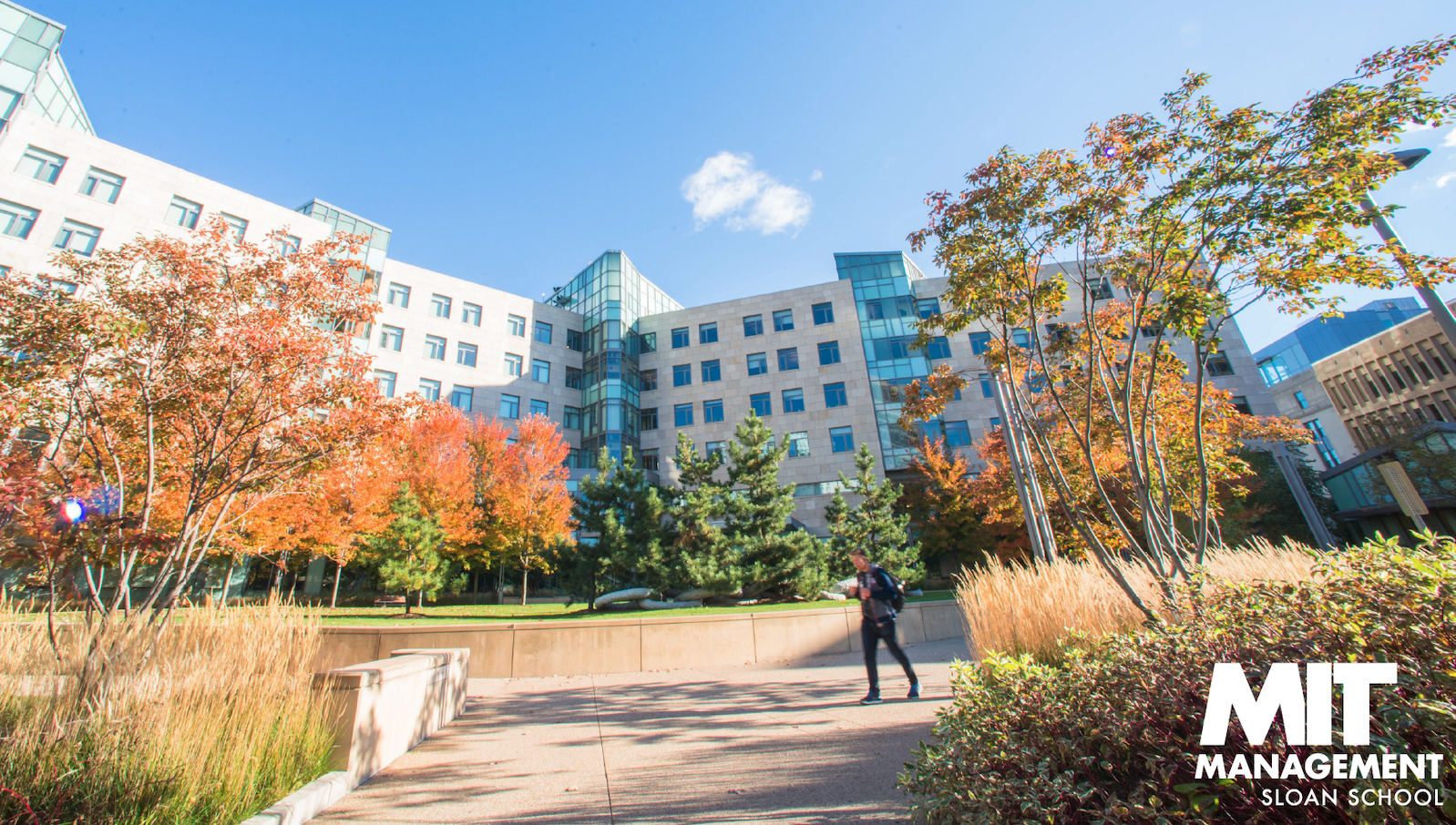 Zoom background thumbnail