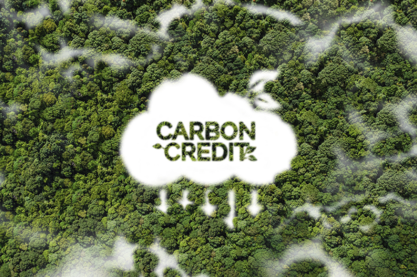 Caption:Clear, enforceable standards may make the difference in how effective carbon trading systems are in reducing global emissions.