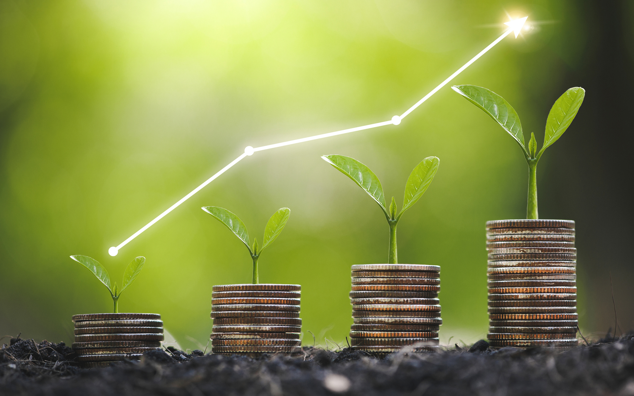 Plants growing in coin stacks