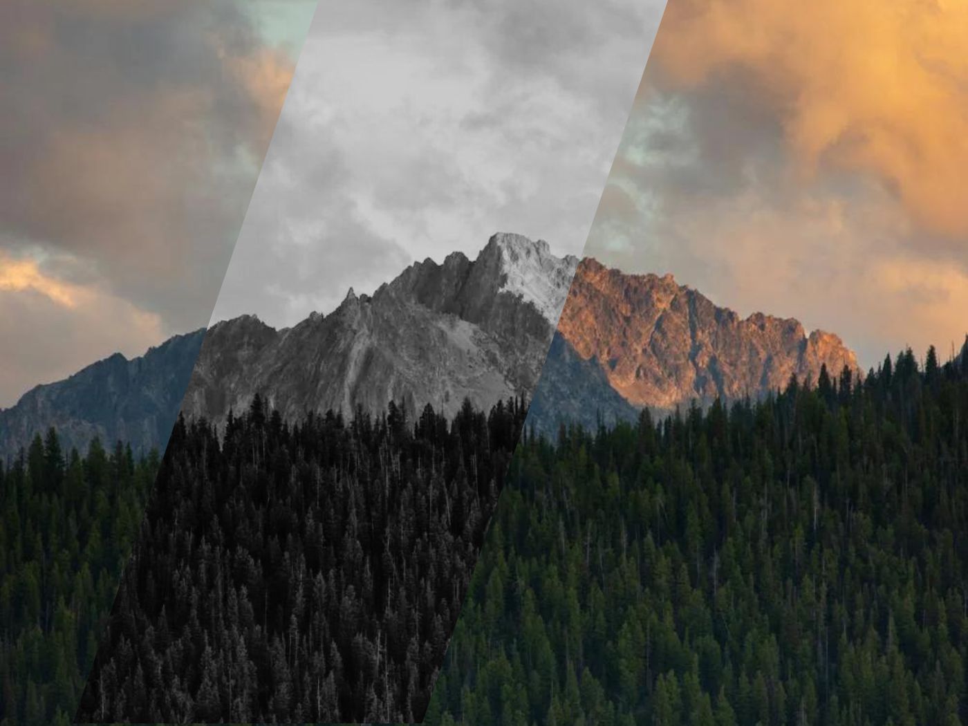 In the foreground, Sawtooth National Forest. Behind this, a mountain at sunset. A slashed middle section of the image is in black and white.