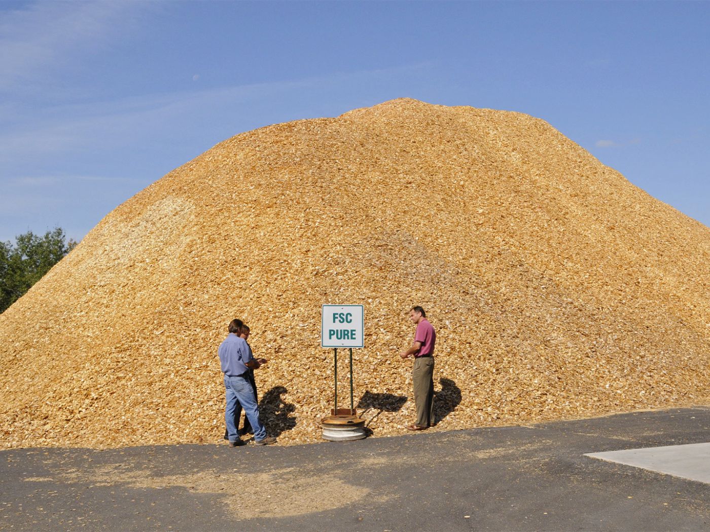 A wood pellet pile at a pellet manufacturing mill
