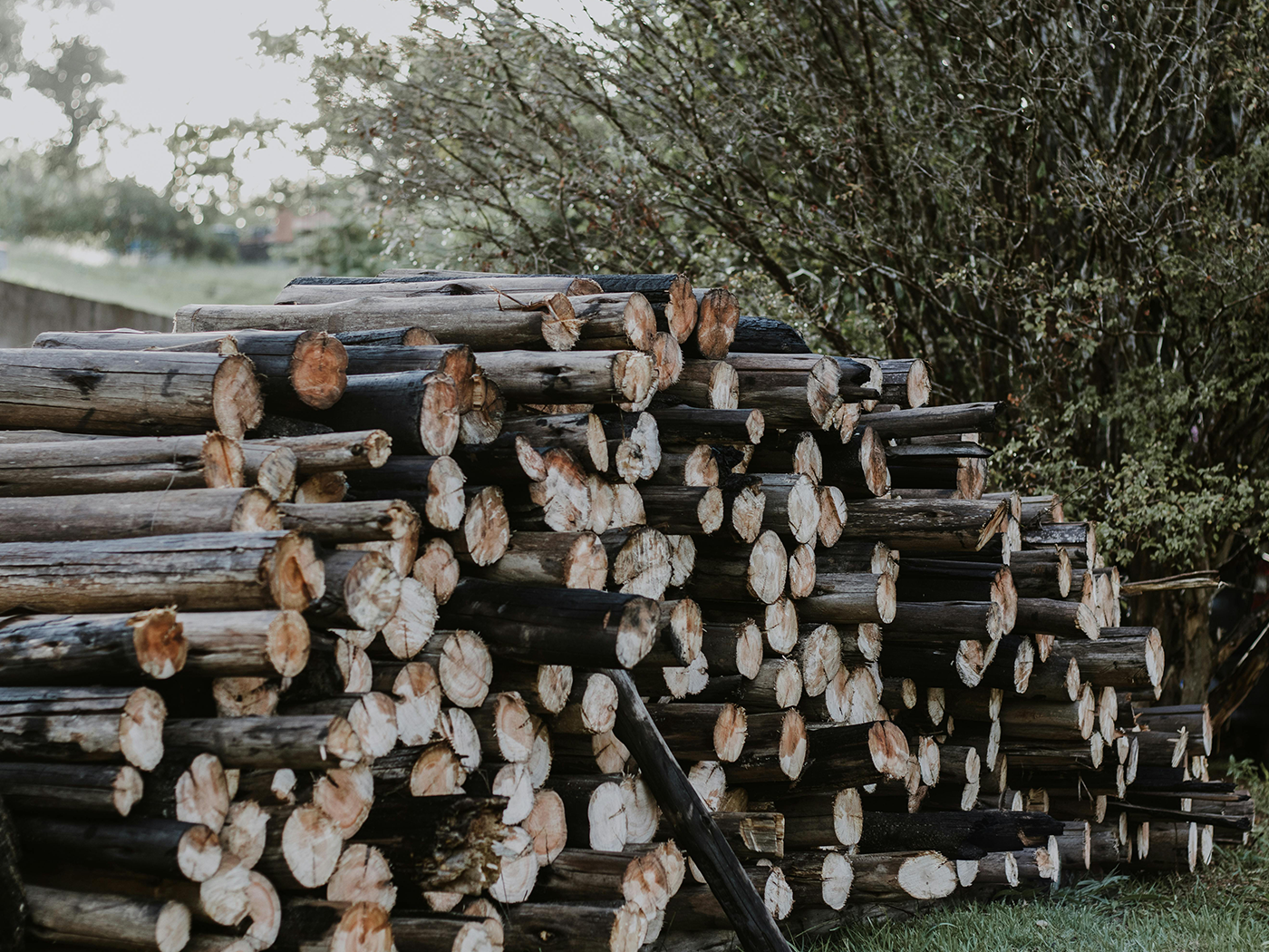 wood pile