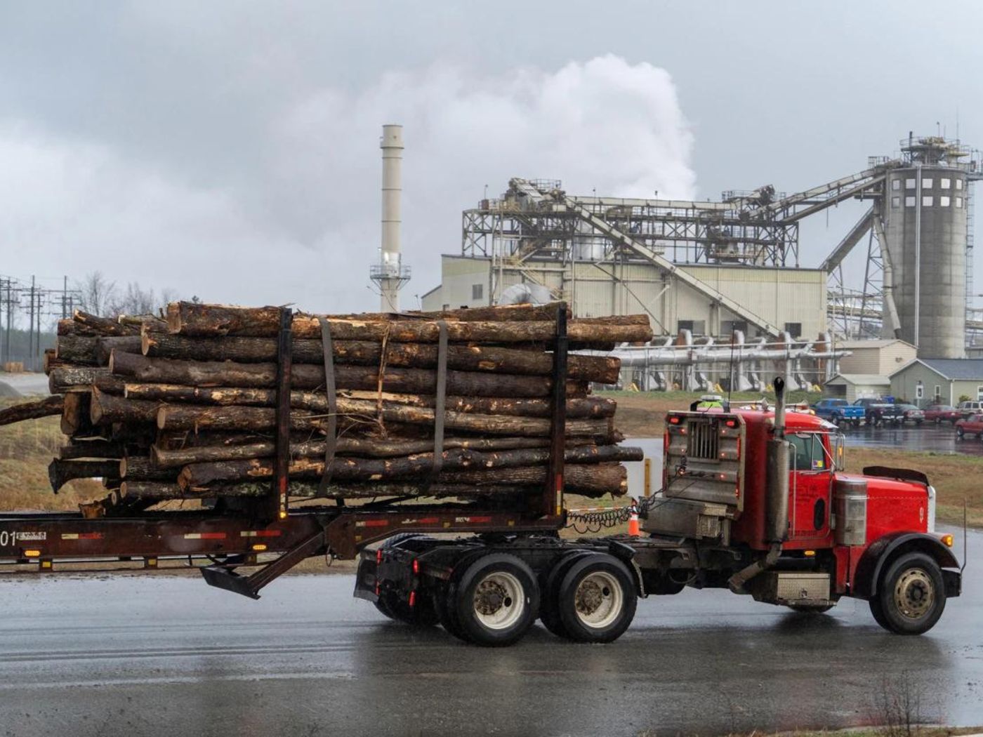 A truck takes wood to an Enviva wood-pellet plant in Garysburg, North Carolina.