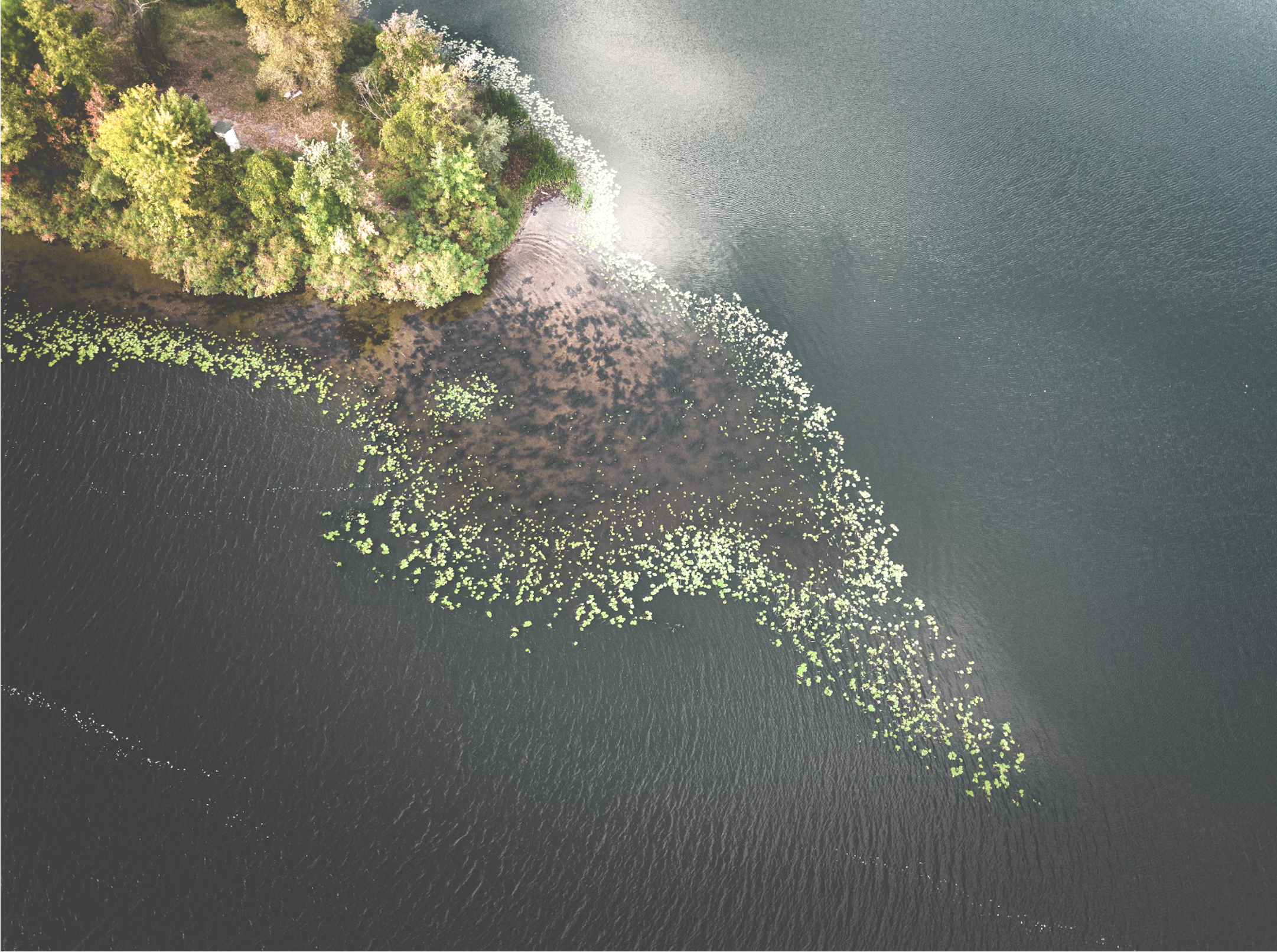 Aerial image of island