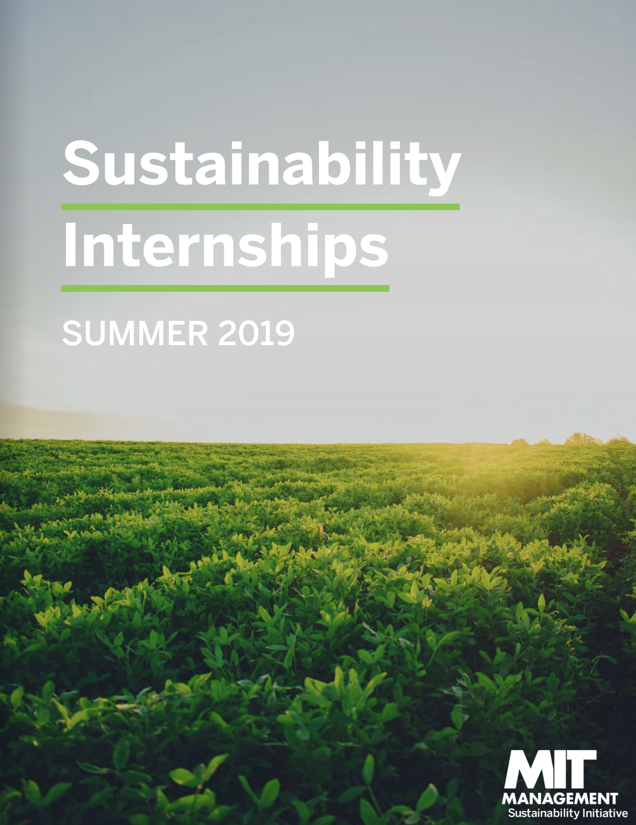 2019 Sustainability Intern Roundup Report Cover