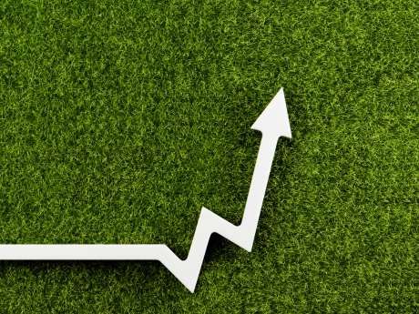 Up arrow on top of a bed of grass