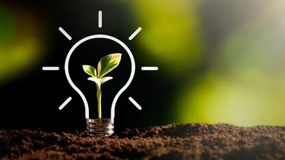 Seedling in lightbulb
