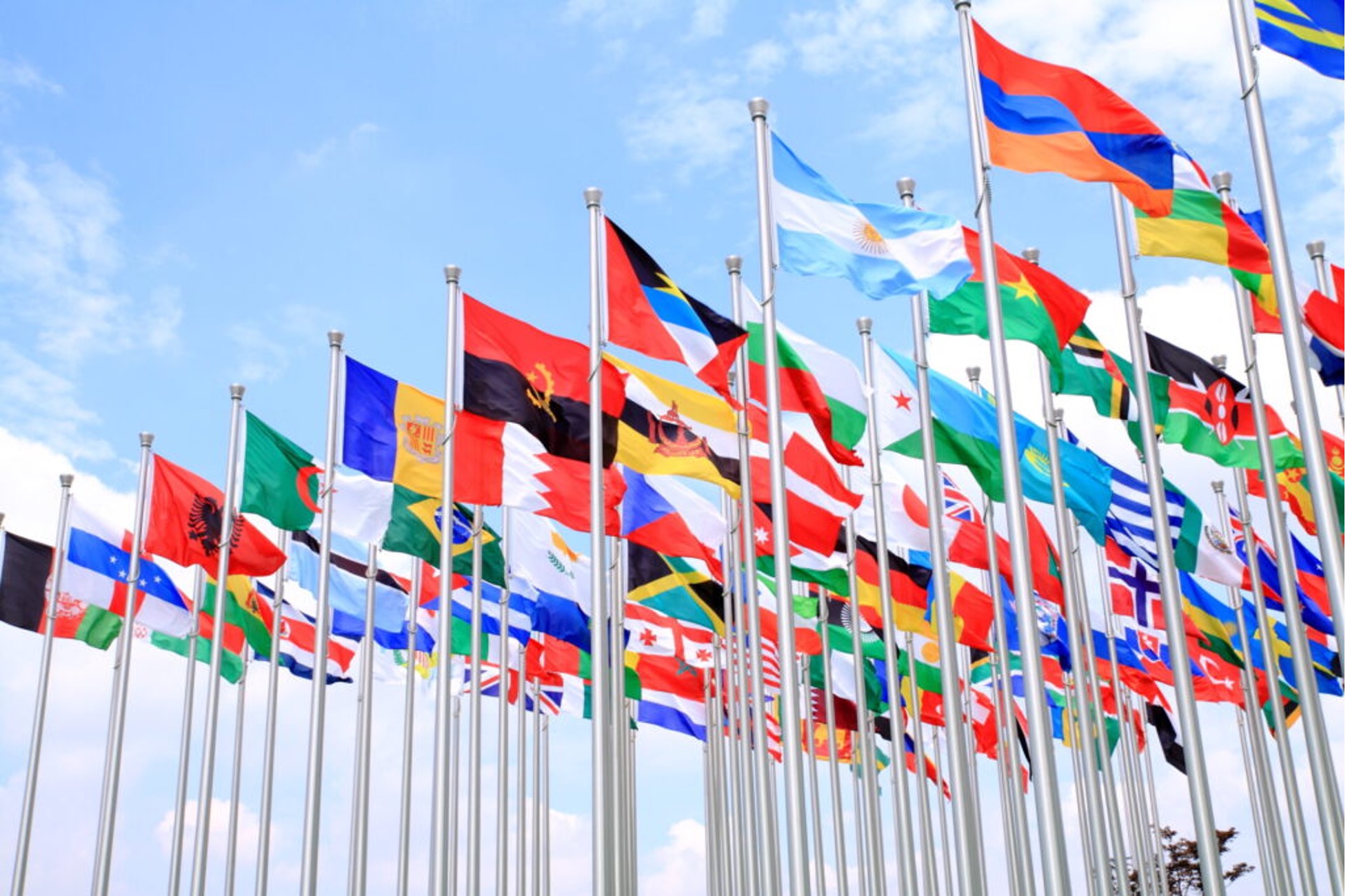collection of country flags flying