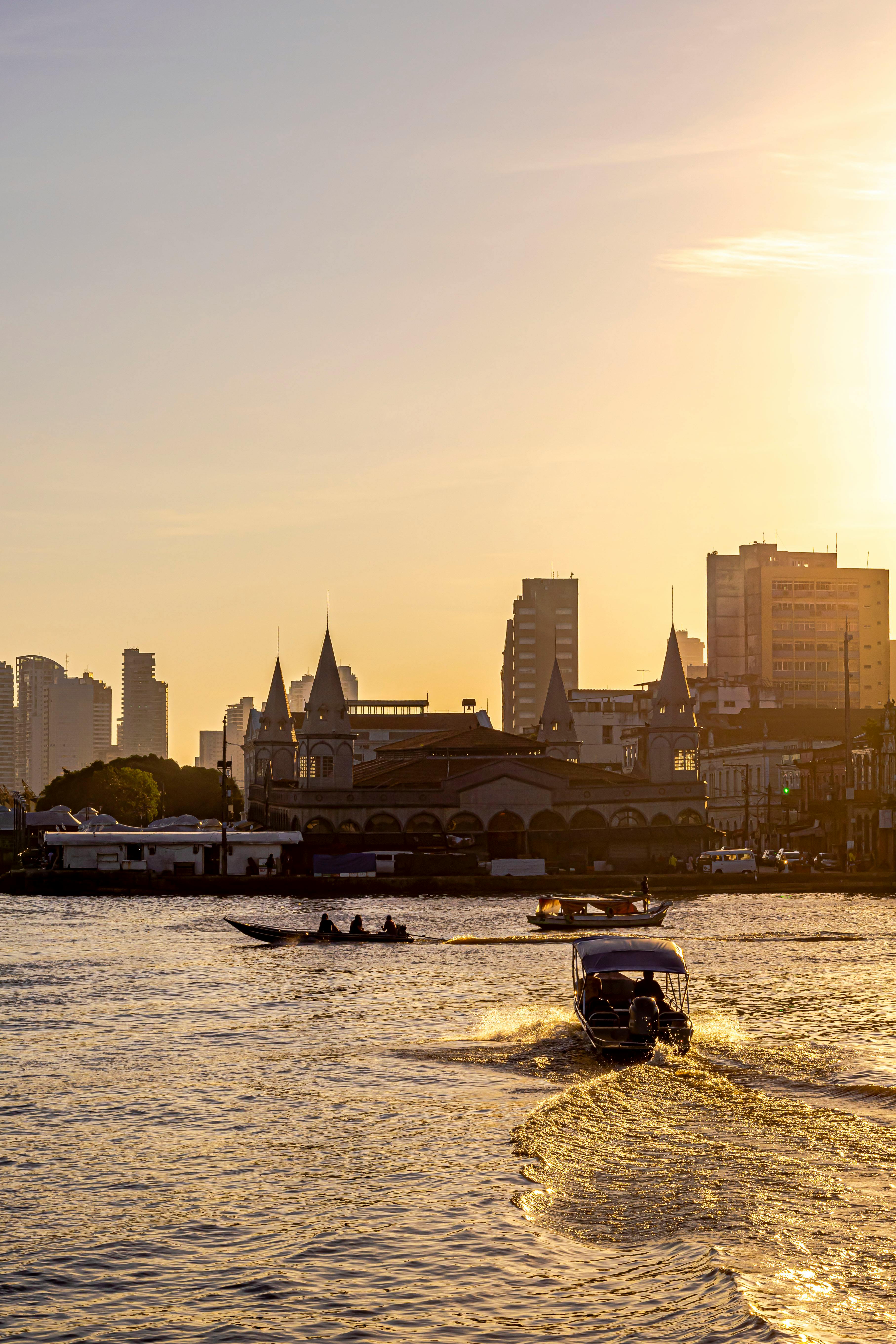 Carolina Evangelista