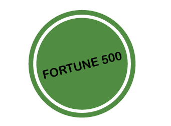 Fortune 500 logo