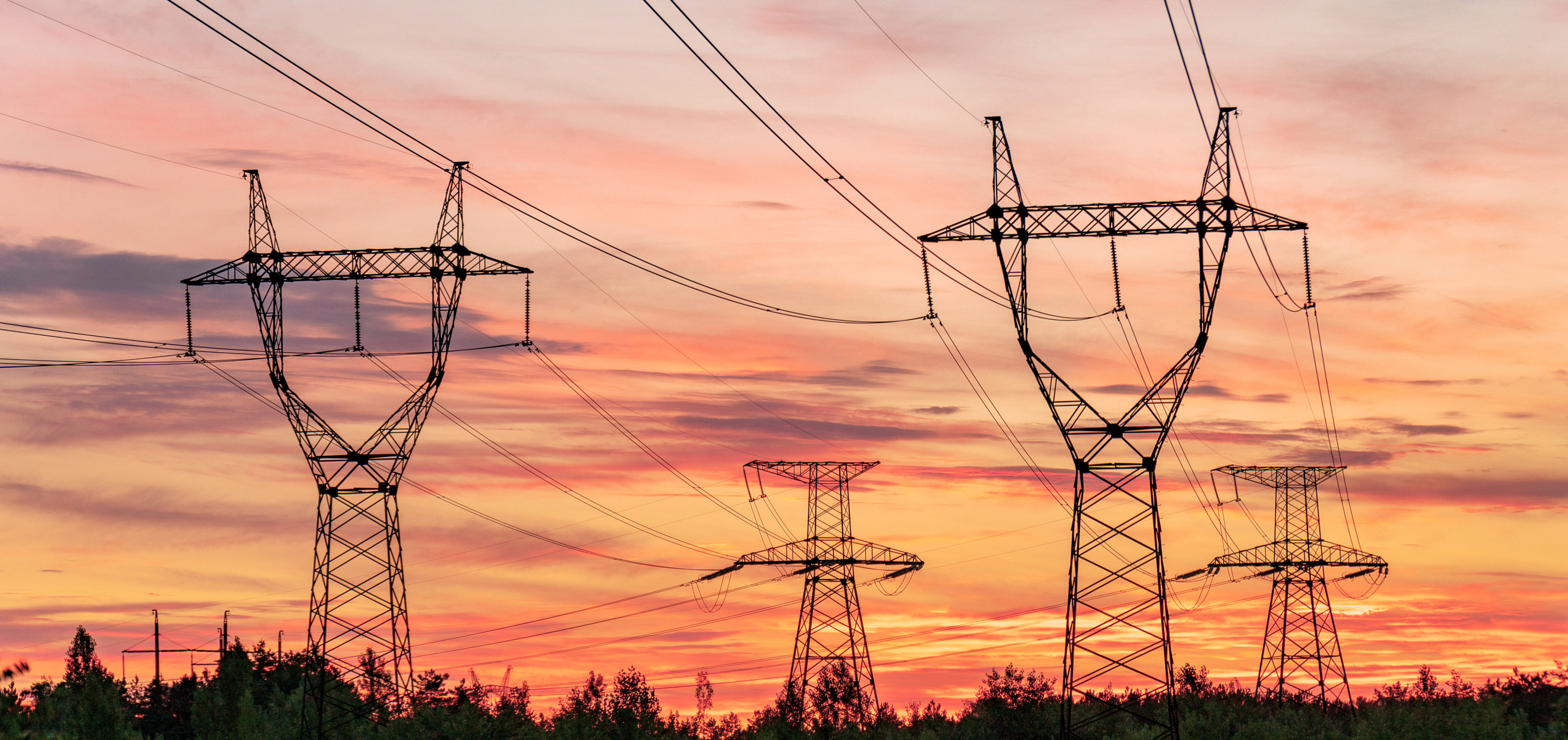 Electric grid policy