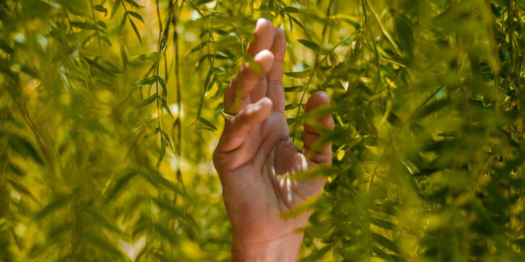 Hand in leaves