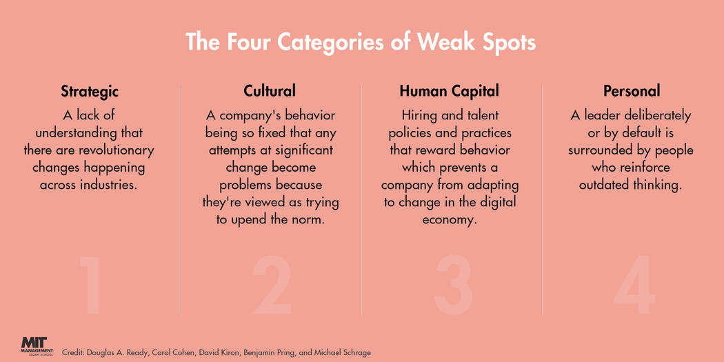 An infographic showing the four categories of weak spots: strategic, cultural, human capital, and personal